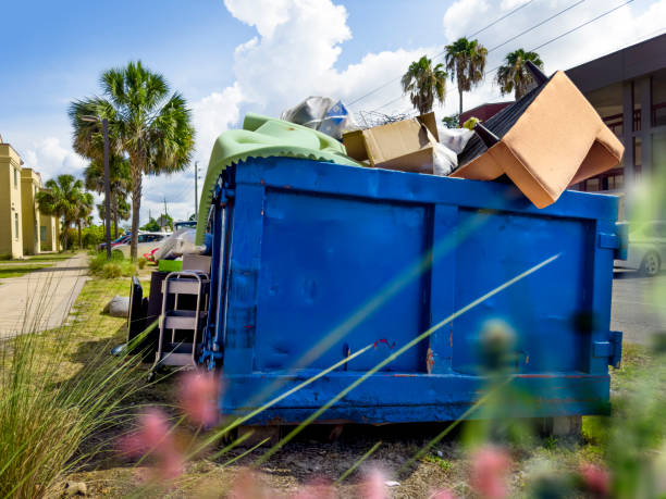 Debris Removal in Pinetop Country Clu, AZ